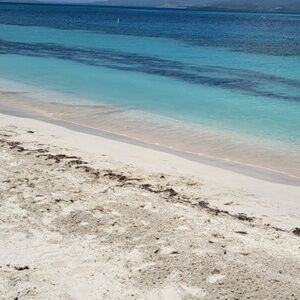 Meet your Posher, Jacqueline